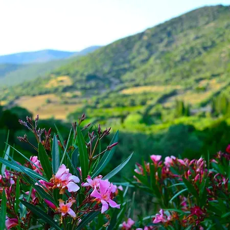 Sosventos Village Ξενοδοχείο 3*